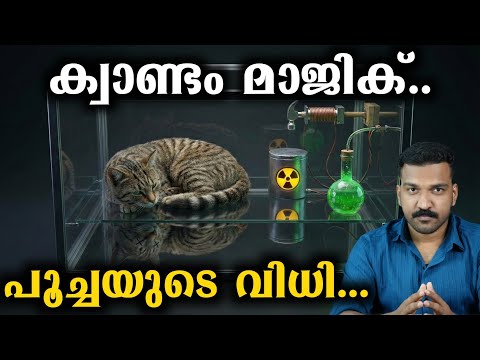 YouTube Video Pm6KL1kCA3A