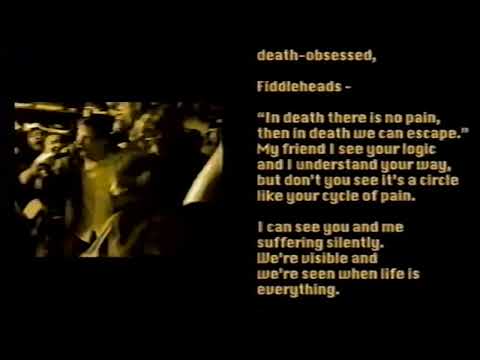 The Woes - Fiddlehead