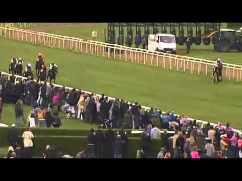 Grosser Preis von Rossmann 2014