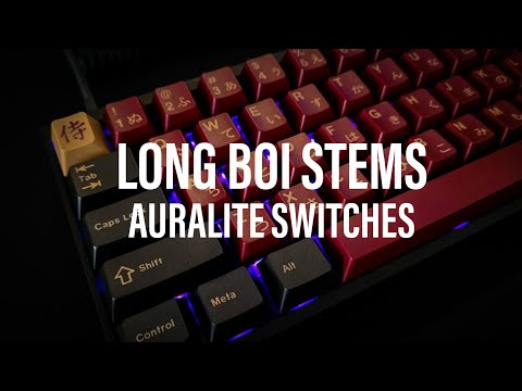 TOFU65 Auralite Switches Sound Test | PE Foam Clear Tape Holee Mod ASMR