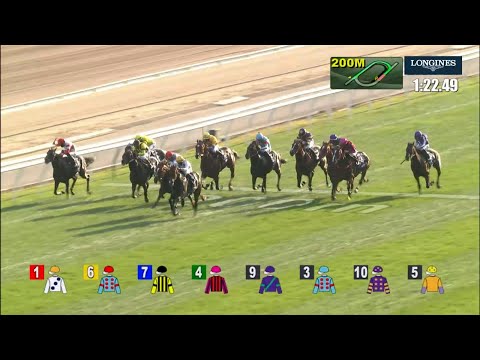 12/12/2021 (249) Golden Sixty - Vincent Ho (G1, Longines Hong Kong Mile, 19 wins in HK, New Record!)