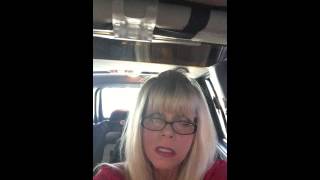 Christmas Spirit in the Car # 27 I'm Dreaming of a White Christmas "