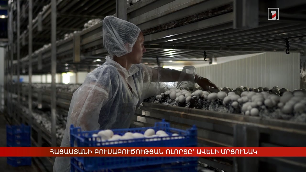 Հայաստանի բուսաբուծության ոլորտը՝ ավելի մրցունակ