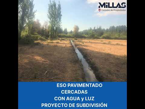 Parcela 3,12 há en Venta en Colicheo (Cabrero - Bio-Bio) #millaspropiedades #parcelasenventa