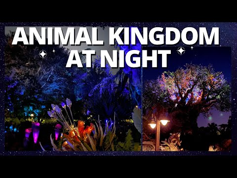 Animal Kingdom at Night | Pandora World of Avatar