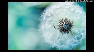 Bai Hat Cho Em - M4U