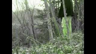 Nine Inch Nails - The Great Below