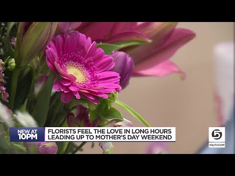 Florists In Ogden Utah