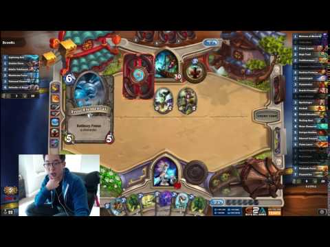 Rats(mah) and dog(s)