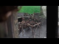 Outlander: The making of Vengeance is mine.