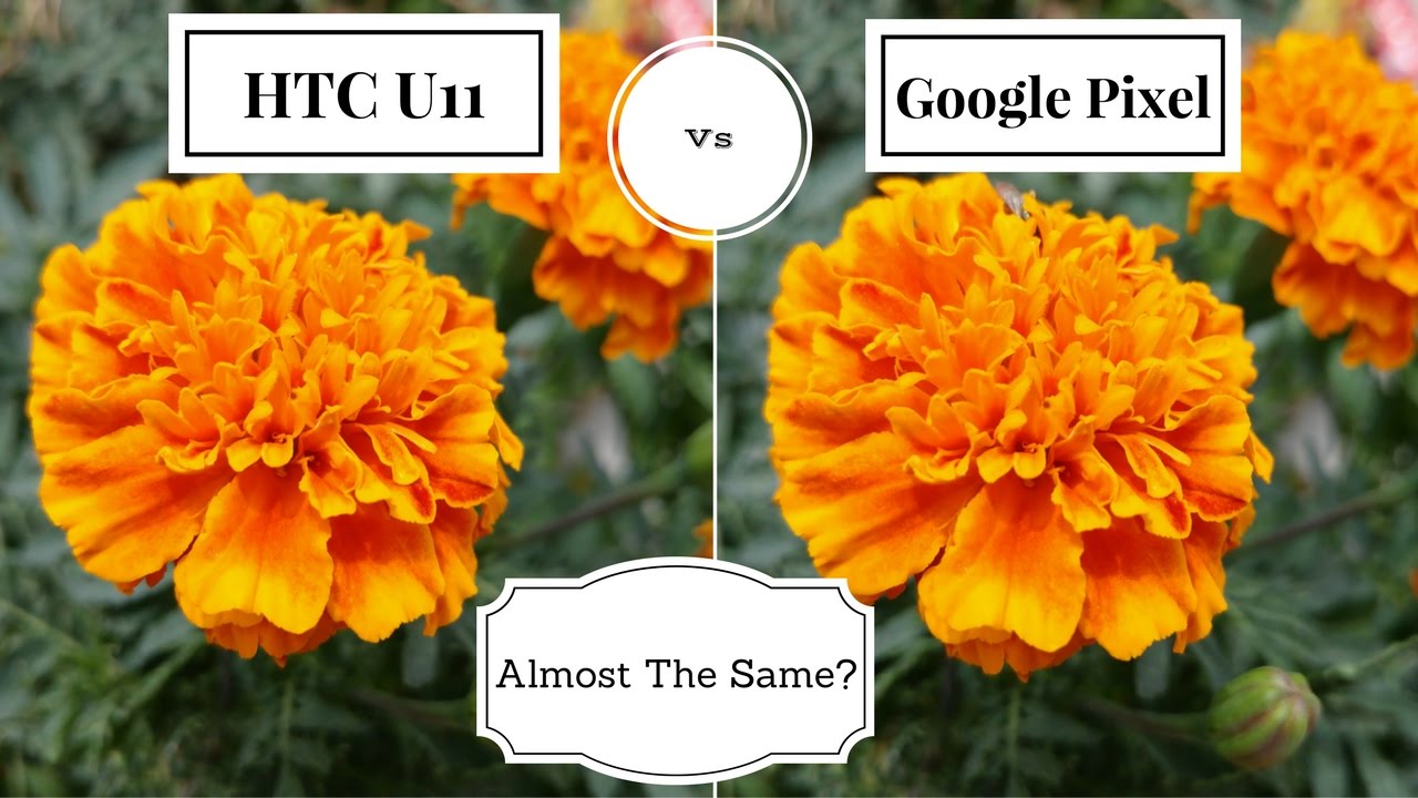 HTC U11 Camera Vs Google Pixel | Camera Comparison | Are They Same?