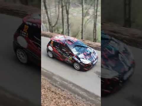 Harghita Rally 2022 Part.1 - Porsche Skoda R5 Ford R5 Mini Turbo Renault Mitsubishi Evo
