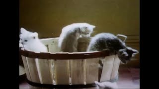 Sesame Street - Kittens in a Basket - Joe Raposo (1972)