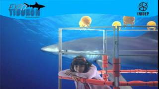 DIA 2 Expo Tiburon173