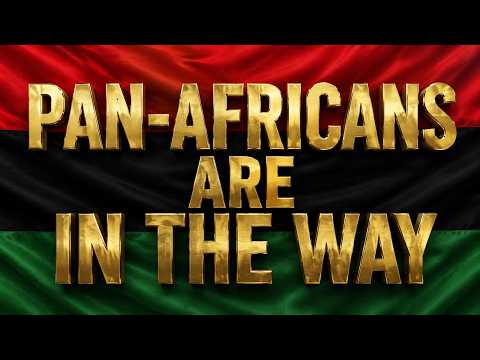 Pan-Africans Are In The Way 