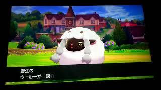 [ポケットモンスターソード]伝説のポケモンが出てきた！#2