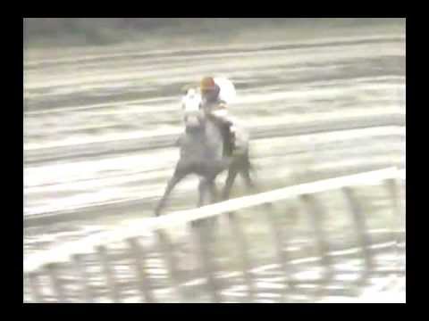 1988 Jockey Club Gold Cup - Waquoit