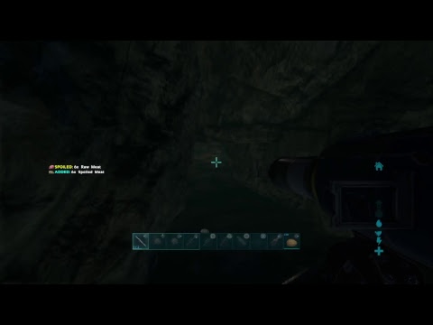 ARK SUFVIVAL BOOSTED SERVER | RAIDING PEARL CAVE