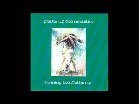 Fields of the Nephilim- Darkcell