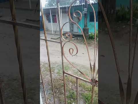 compensado El año ya tenemos las primeras lluvias aquí en fundación Magdalena