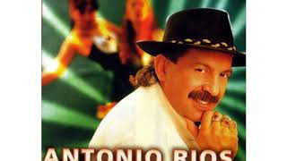 Tú Lyrics English Translation