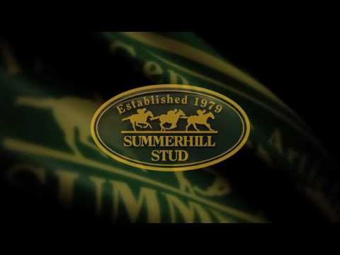 IGUGU - NATIONAL YEARLING SALE 2011