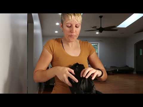 Waterfly Fanny Pack Review