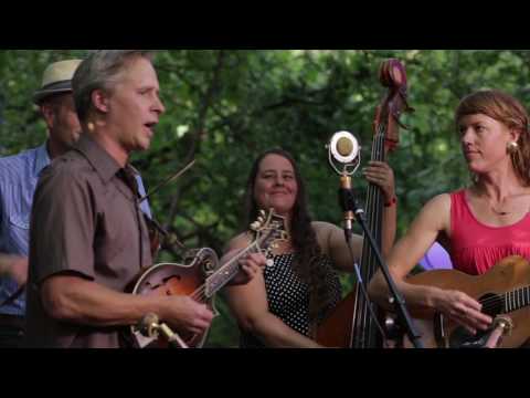 Foghorn Stringband - Fall On My Knees - Edge Sessions @Pickathon 2016 S03E06