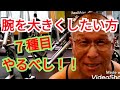《じぃじの筋トレ》腕を大きくしたい方!この7種目をやるべし!!