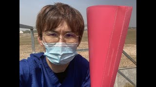 【カンボジア1ヶ月検診】これからの在住生活で注意したい採血データと生活習慣について。