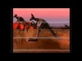Tekken 2 Roger Ending