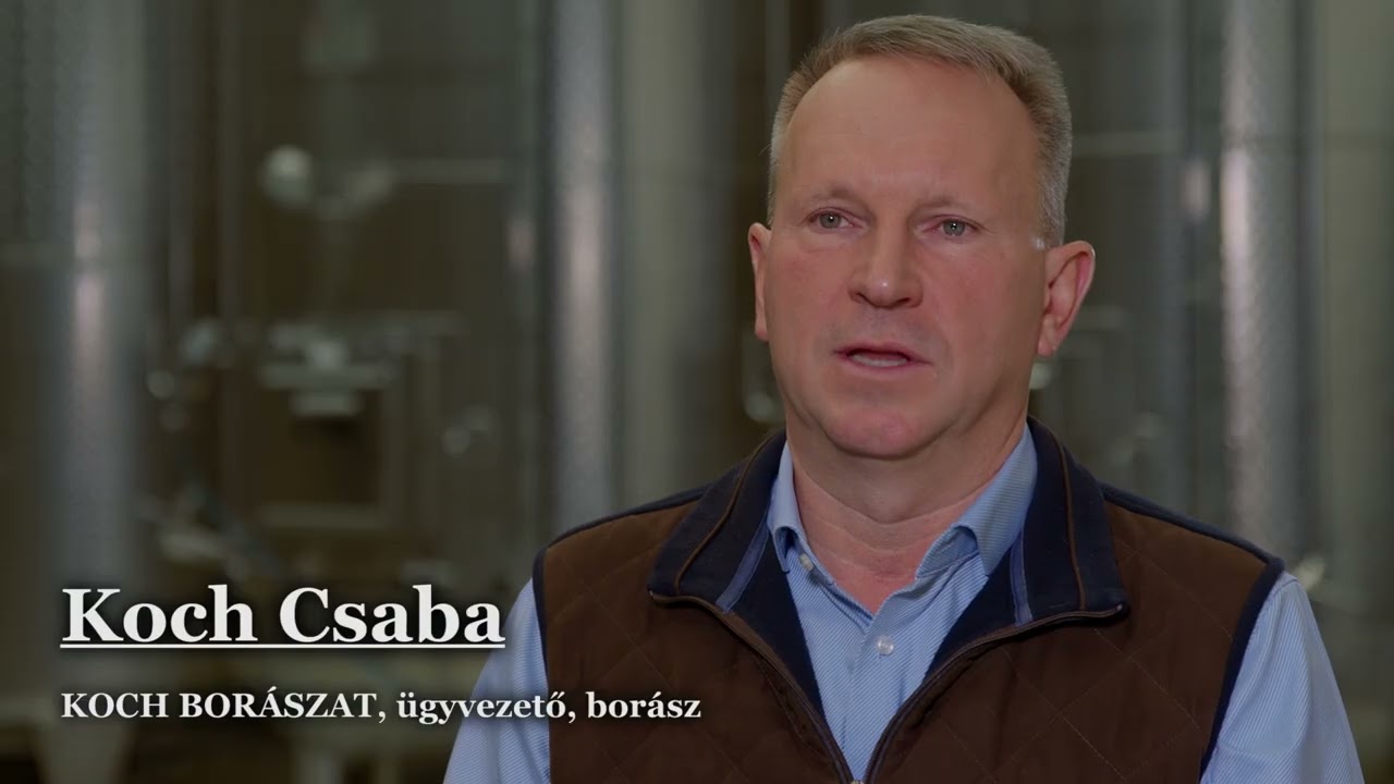 A kékfrankos vizsgálata, szőlészeti és borászati értékeinek feltárása klónszelekcióján és genetikai variabilitásán keresztül