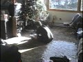 XMAS 1998 EG And Sundown