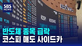 반도체 종목 급락..코스피 매도 사이드카 / SBS