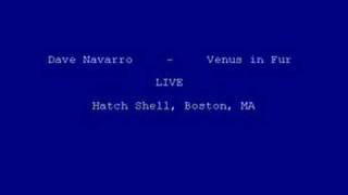 Dave navarro - Venus in Fur - live - parte 05