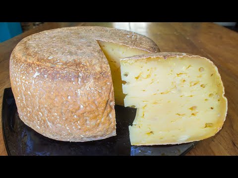 Homemade Emmental style cheese