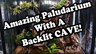 Hygger Dunker Pro SUBMERSIBLE Light in a Paludarium Build.