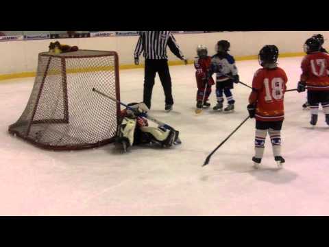 HS Třebíč - HOBA Bratislava 1.3.2014