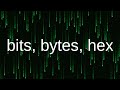 Bits Bytes And Hex