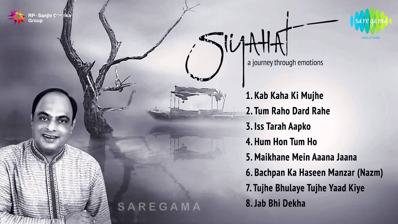 Hum Hon Tum Ho Lyrics  | Siyahat: A Journey Through Emotions | Shishir Parkhie | Shishir Parkhie | Shishir Parkhie