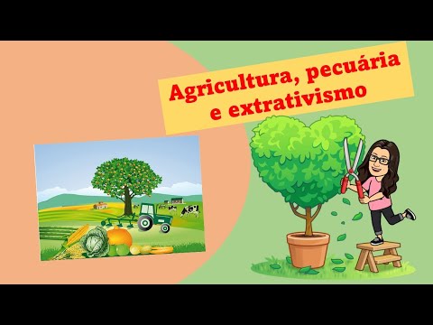 Agricultura, pecuária e extrativismo - Ensino Fundamental