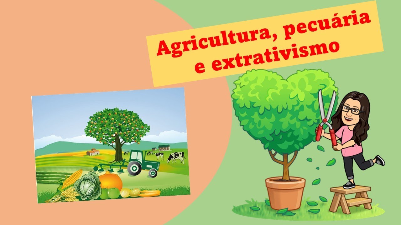 Agricultura, pecuária e extrativismo - Ensino Fundamental