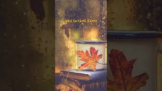 Download lagu Status WA 'Aku Sayang Kamu' Iwan Fals mp3