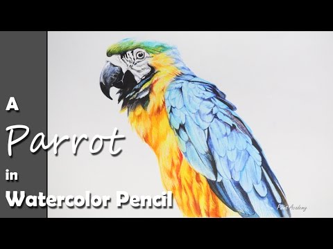 Mountains and Pine Tress Watercolor Pencil Landscape Drawing | steps to follow