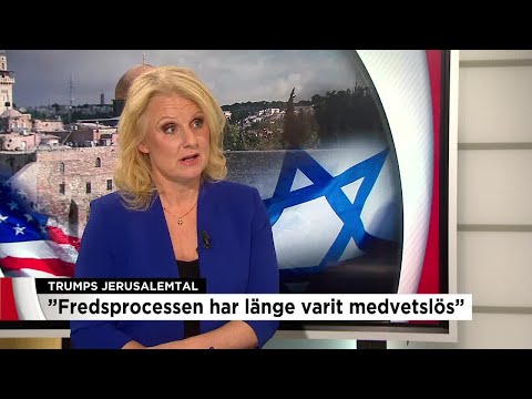 "Fredsprocessen har varit medvetslös länge" - Nyheterna (TV4)