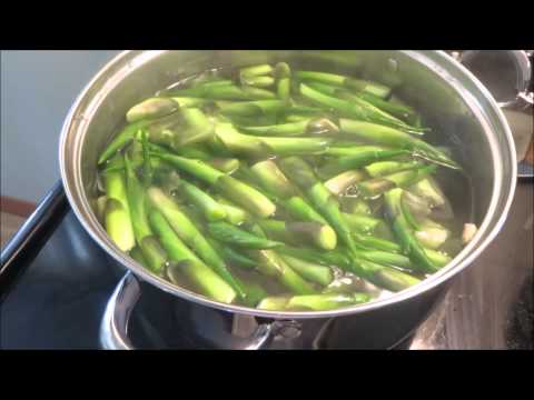 download lagu mp3 mp4 Hosta Buds, download lagu Hosta Buds gratis, unduh video klip Hosta Buds