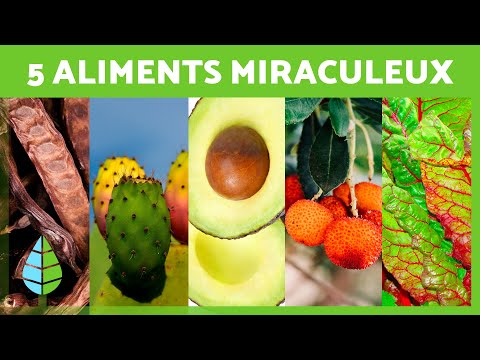 , title : '5 ALIMENTS MIRACULEUX que vous devriez INCLURE dans votre RÉGIME 🥑✅'