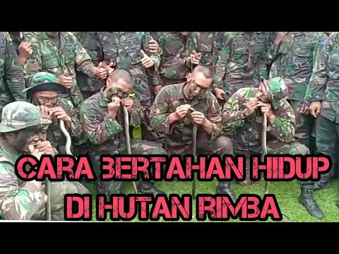 , title : 'SISWA TNI MAKAN ULAR |PENDIDIKAN KOMANDO |'