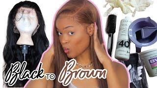 HD Lace Wig Series: Easiest way to dye hair Black to Brown, Beginner Friendly | Bleach Snoblife Hair