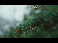 JEEP WRANGLER WHATSAPP STATUS JEEP LOVERS CAR LOVERS CLUB